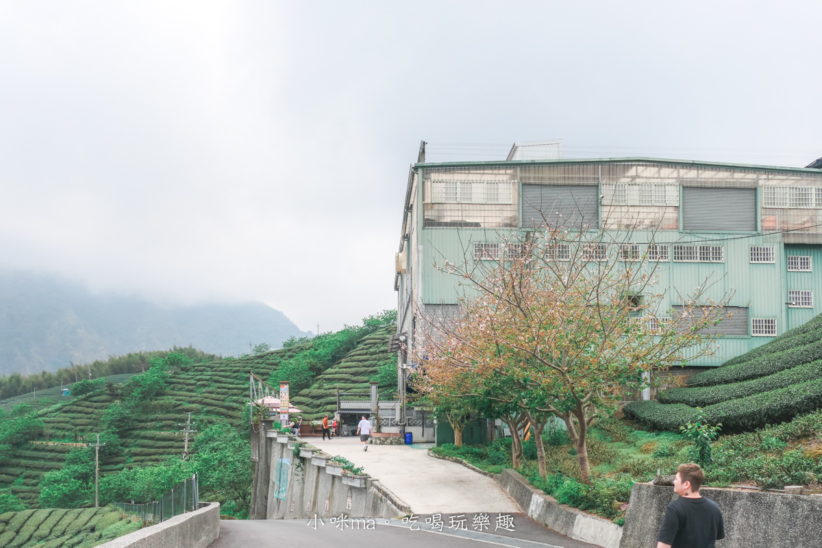 【南投景點】八卦茶園|雲霧繚繞的翠綠茶園,茶飲廣告拍攝場景,櫻花季來更是美不勝收,竹山景點 - 第6張圖 【南投景點】八卦茶園|雲霧繚繞的翠綠茶園,茶飲廣告拍攝場景,櫻花季來更是美不勝收,竹山景點