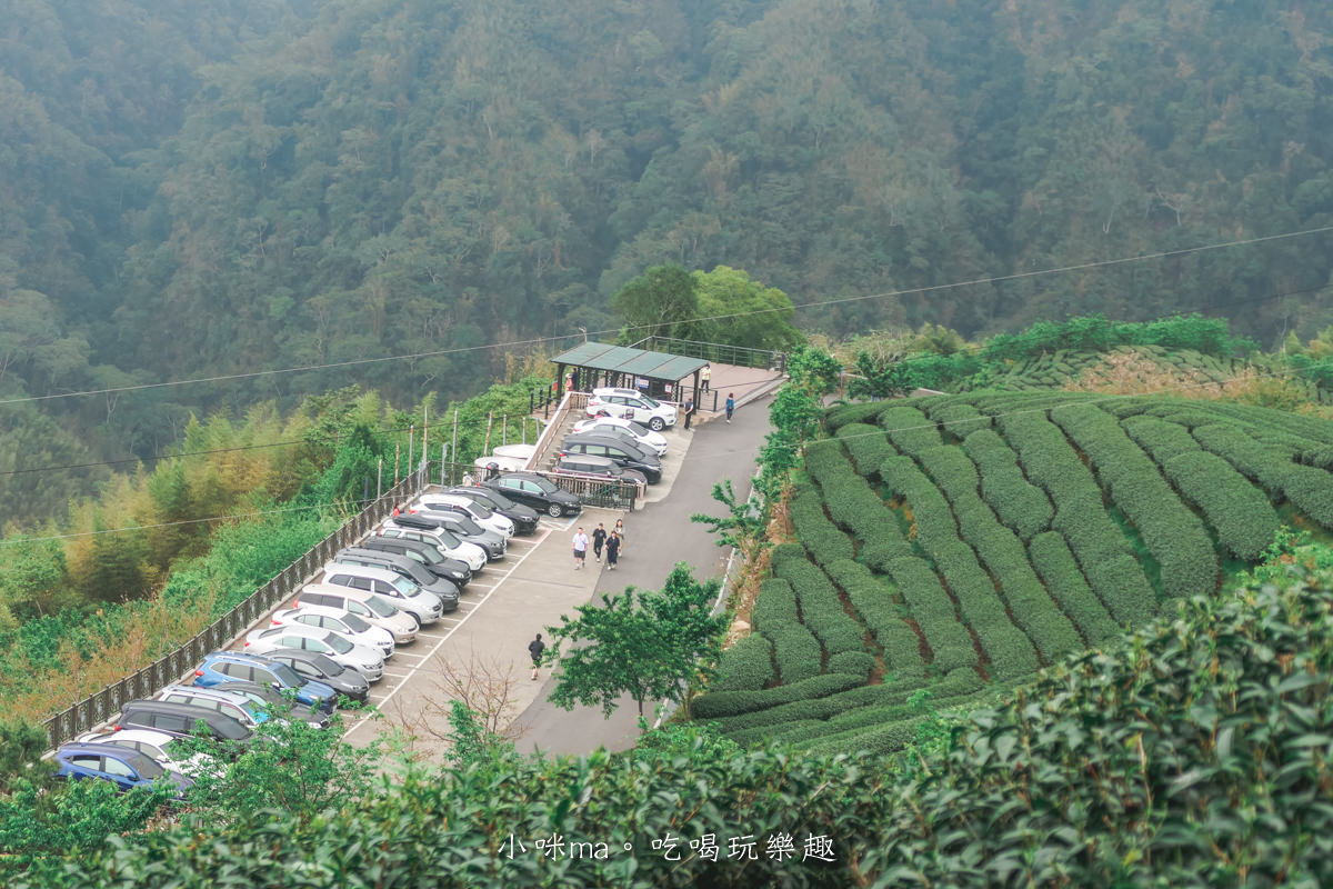 【南投景點】八卦茶園|雲霧繚繞的翠綠茶園,茶飲廣告拍攝場景,櫻花季來更是美不勝收,竹山景點 - 第17張圖 【南投景點】八卦茶園|雲霧繚繞的翠綠茶園,茶飲廣告拍攝場景,櫻花季來更是美不勝收,竹山景點