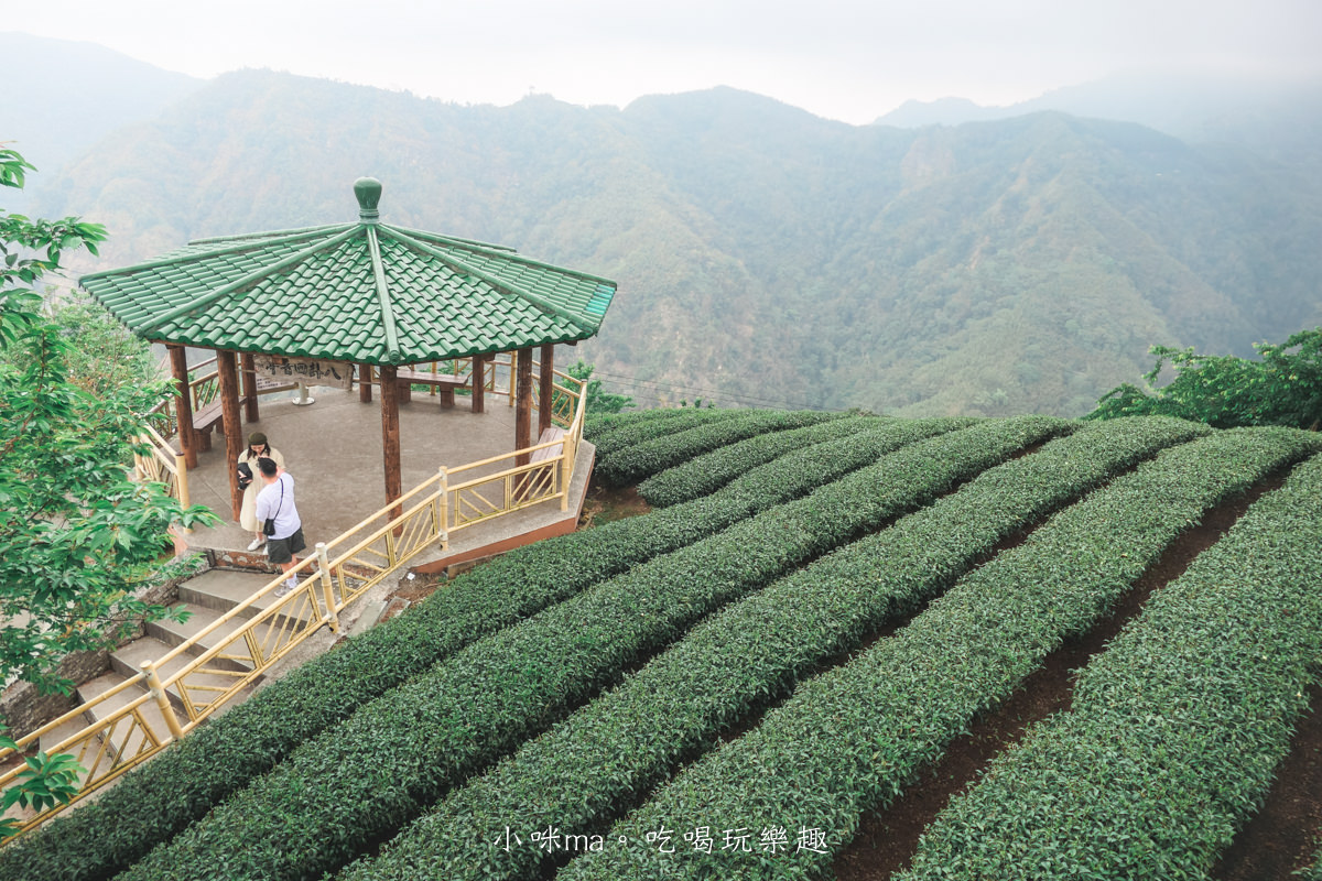 【南投景點】八卦茶園|雲霧繚繞的翠綠茶園,茶飲廣告拍攝場景,櫻花季來更是美不勝收,竹山景點 - 第20張圖 【南投景點】八卦茶園|雲霧繚繞的翠綠茶園,茶飲廣告拍攝場景,櫻花季來更是美不勝收,竹山景點