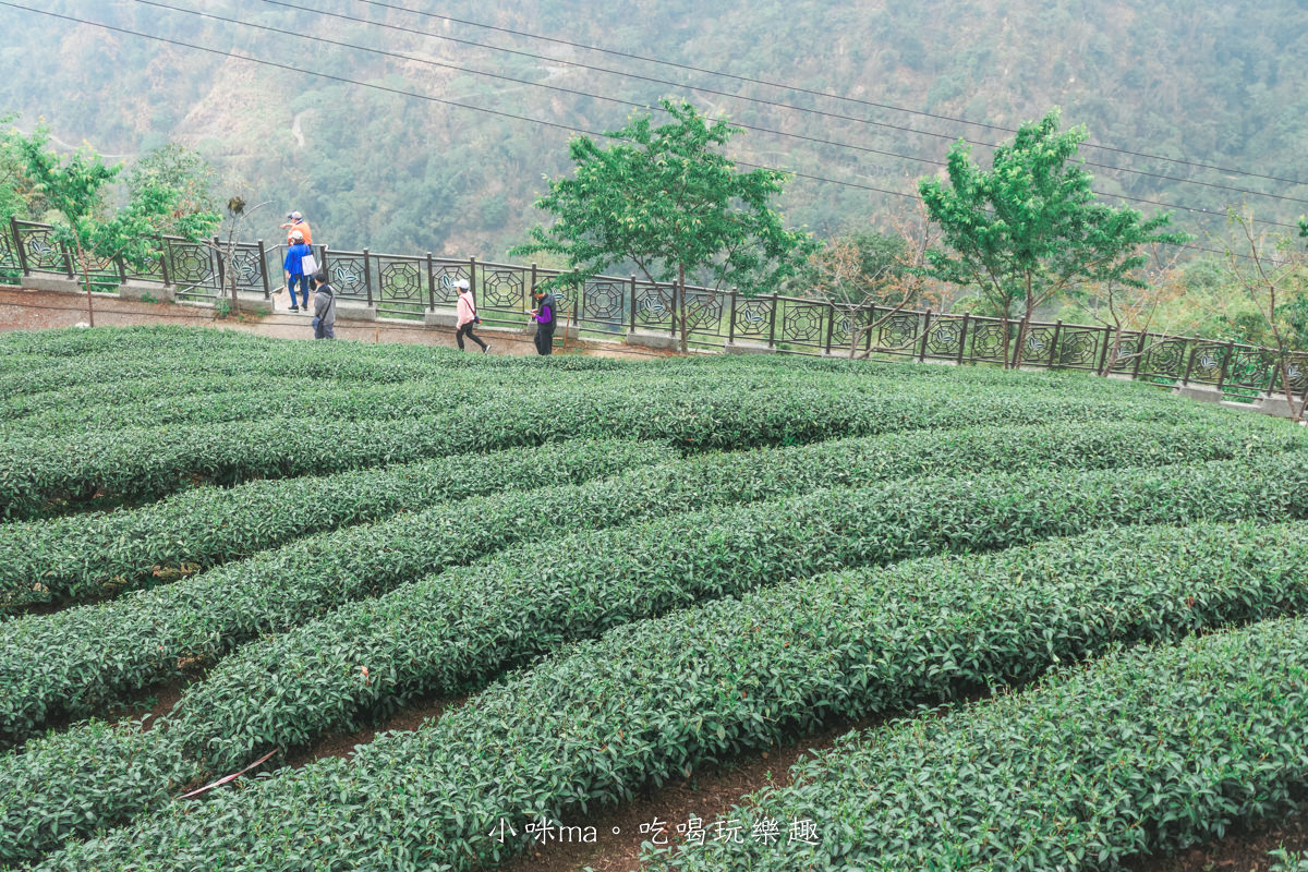 【南投景點】八卦茶園|雲霧繚繞的翠綠茶園,茶飲廣告拍攝場景,櫻花季來更是美不勝收,竹山景點 - 第15張圖 【南投景點】八卦茶園|雲霧繚繞的翠綠茶園,茶飲廣告拍攝場景,櫻花季來更是美不勝收,竹山景點