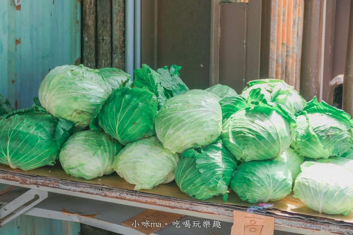 上帝的部落-司馬庫斯一日遊｜想探訪巨木群秘境不用擔心遙遠路途，愛優遊台灣包車行程 讓你輕鬆說走就走，司馬庫斯包車推薦