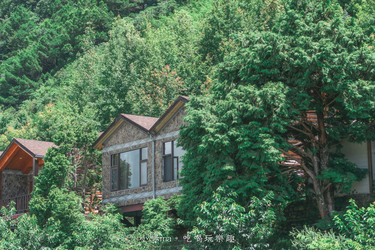 上帝的部落-司馬庫斯一日遊｜想探訪巨木群秘境不用擔心遙遠路途，愛優遊台灣包車行程 讓你輕鬆說走就走，司馬庫斯包車推薦
