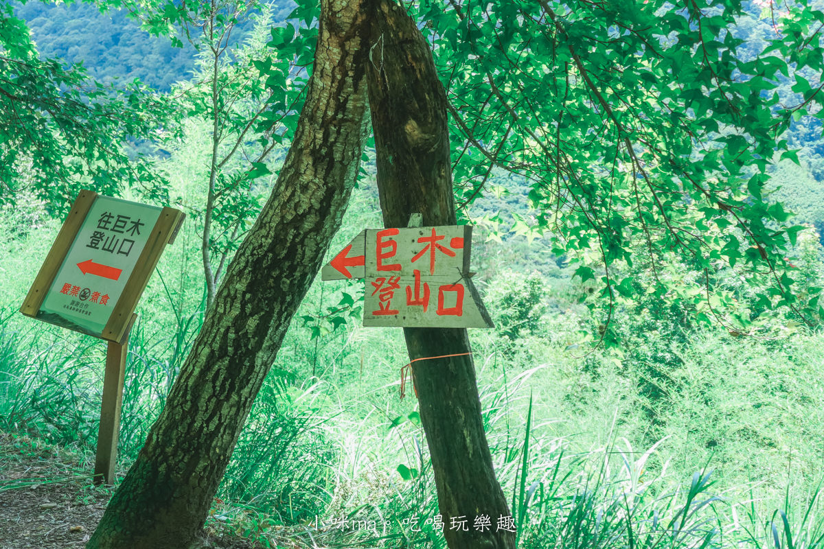上帝的部落-司馬庫斯一日遊｜想探訪巨木群秘境不用擔心遙遠路途，愛優遊台灣包車行程 讓你輕鬆說走就走，司馬庫斯包車推薦
