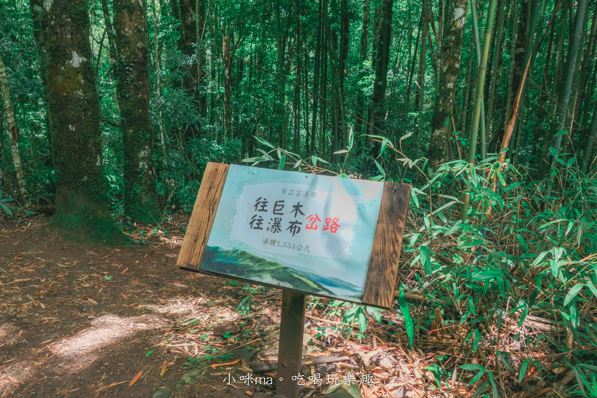 上帝的部落-司馬庫斯一日遊｜想探訪巨木群秘境不用擔心遙遠路途，愛優遊台灣包車行程 讓你輕鬆說走就走，司馬庫斯包車推薦