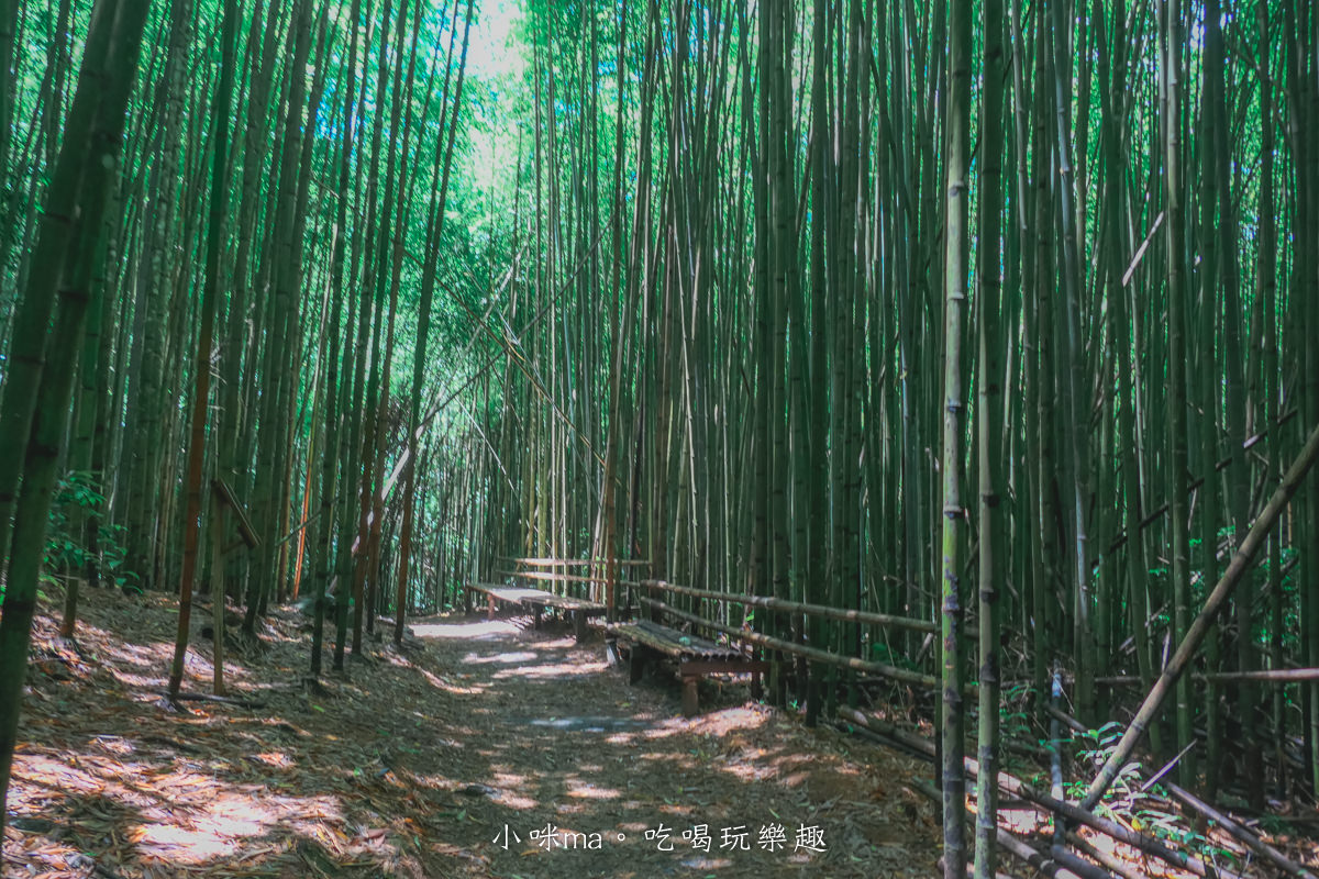 上帝的部落-司馬庫斯一日遊｜想探訪巨木群秘境不用擔心遙遠路途，愛優遊台灣包車行程 讓你輕鬆說走就走，司馬庫斯包車推薦