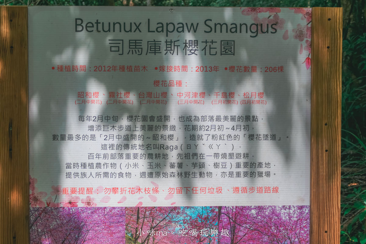 上帝的部落-司馬庫斯一日遊｜想探訪巨木群秘境不用擔心遙遠路途，愛優遊台灣包車行程 讓你輕鬆說走就走，司馬庫斯包車推薦