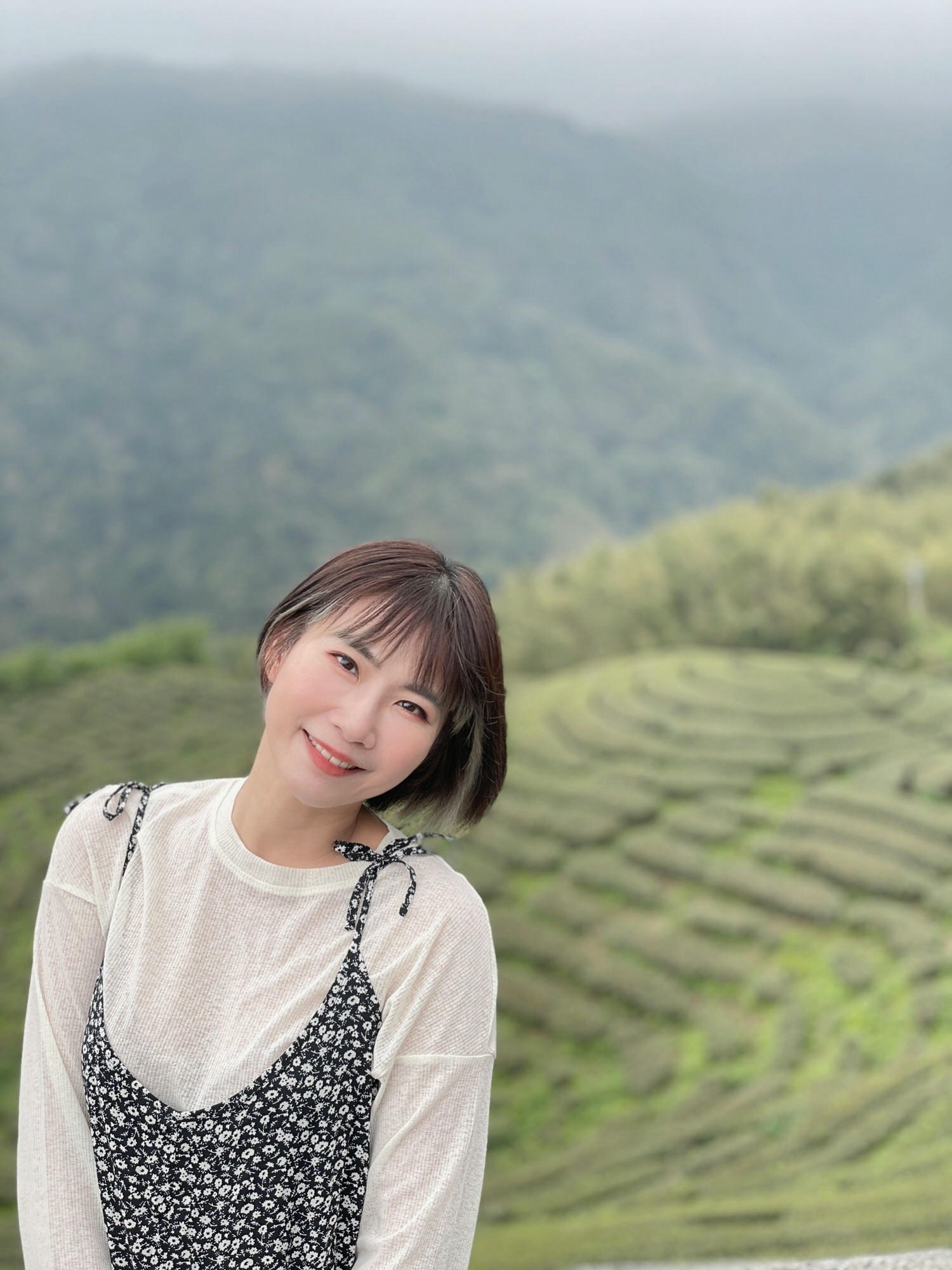 【南投景點】八卦茶園|雲霧繚繞的翠綠茶園,茶飲廣告拍攝場景,櫻花季來更是美不勝收,竹山景點 - 第10張圖 【南投景點】八卦茶園|雲霧繚繞的翠綠茶園,茶飲廣告拍攝場景,櫻花季來更是美不勝收,竹山景點
