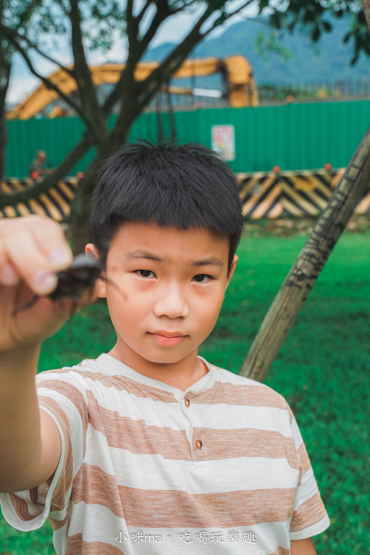 【桃園龍潭景點】三坑自然生態公園｜無料小溪戲水，悠閒環湖步道，還能順遊三坑老街、太平紅橋，桃園一日遊