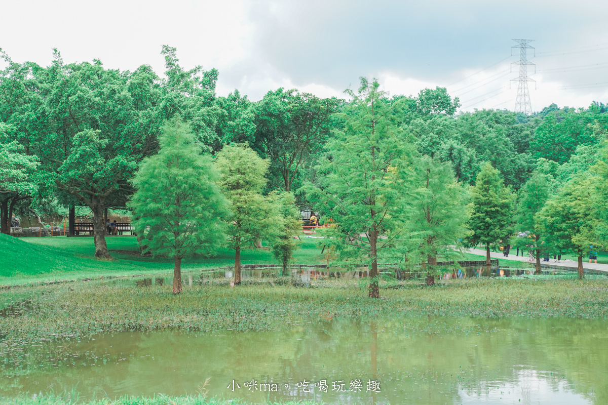 【桃園龍潭景點】三坑自然生態公園｜無料小溪戲水，悠閒環湖步道，還能順遊三坑老街、太平紅橋，桃園一日遊