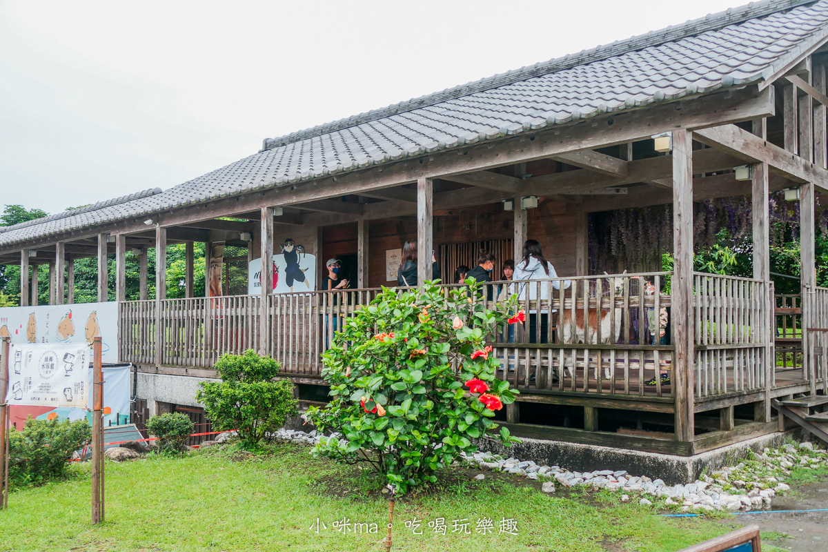 【宜蘭親子飯店】綠舞國際觀光飯店｜一泊二食就這樣玩！全台最大日式莊園，湯屋、泳池、浴衣體驗、羊駝、水豚君 通通抵加，宜蘭住宿