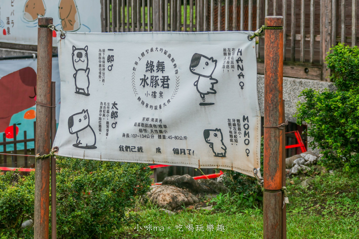 【宜蘭親子飯店】綠舞國際觀光飯店｜一泊二食就這樣玩！全台最大日式莊園，湯屋、泳池、浴衣體驗、羊駝、水豚君 通通抵加，宜蘭住宿