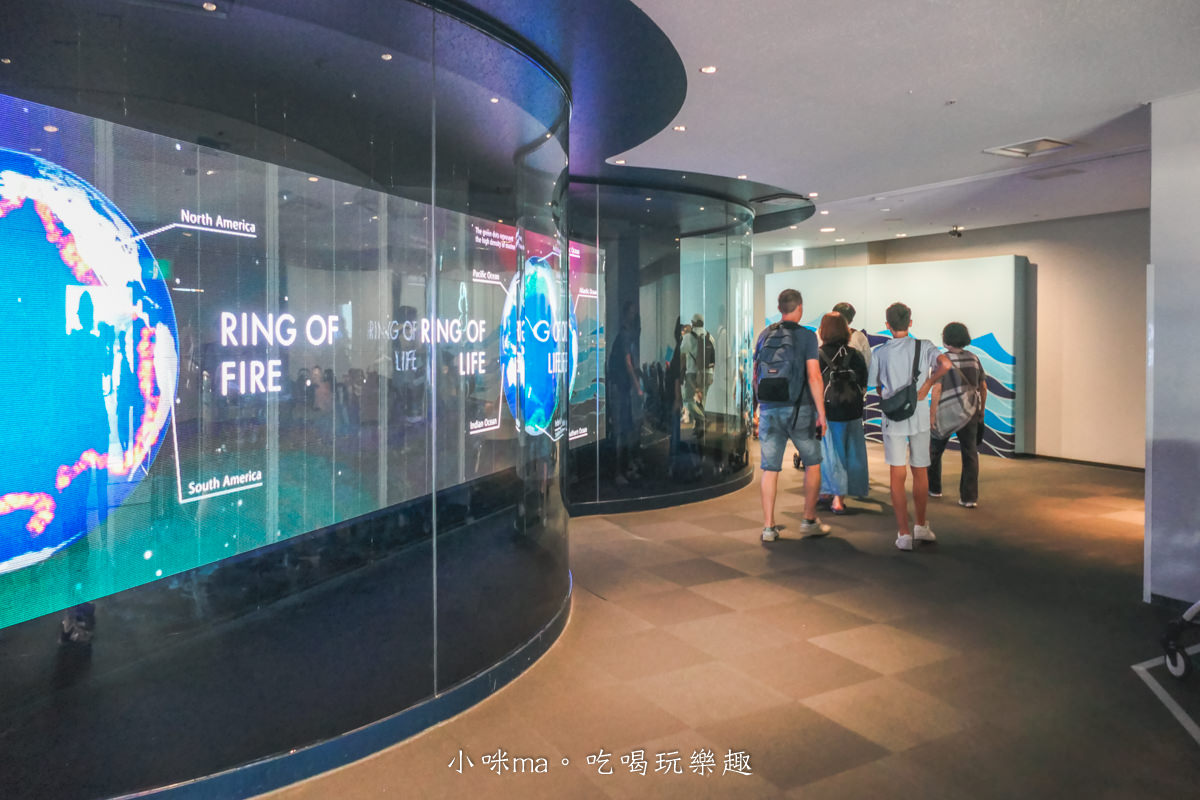 【大阪景點】海遊館|360度近距離觀賞超萌海豹、鯨鯊、企鵝,門票優惠&交通總整理,天保山一日遊 - 第10張圖 【大阪景點】海遊館|360度近距離觀賞超萌海豹、鯨鯊、企鵝,門票優惠&交通總整理,天保山一日遊