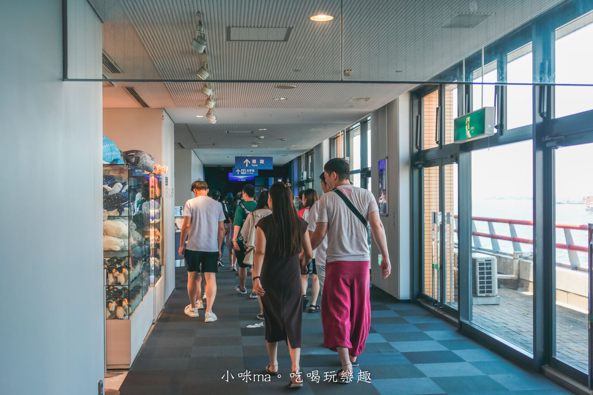 【大阪景點】海遊館|360度近距離觀賞超萌海豹、鯨鯊、企鵝,門票優惠&交通總整理,天保山一日遊 - 第11張圖 【大阪景點】海遊館|360度近距離觀賞超萌海豹、鯨鯊、企鵝,門票優惠&交通總整理,天保山一日遊