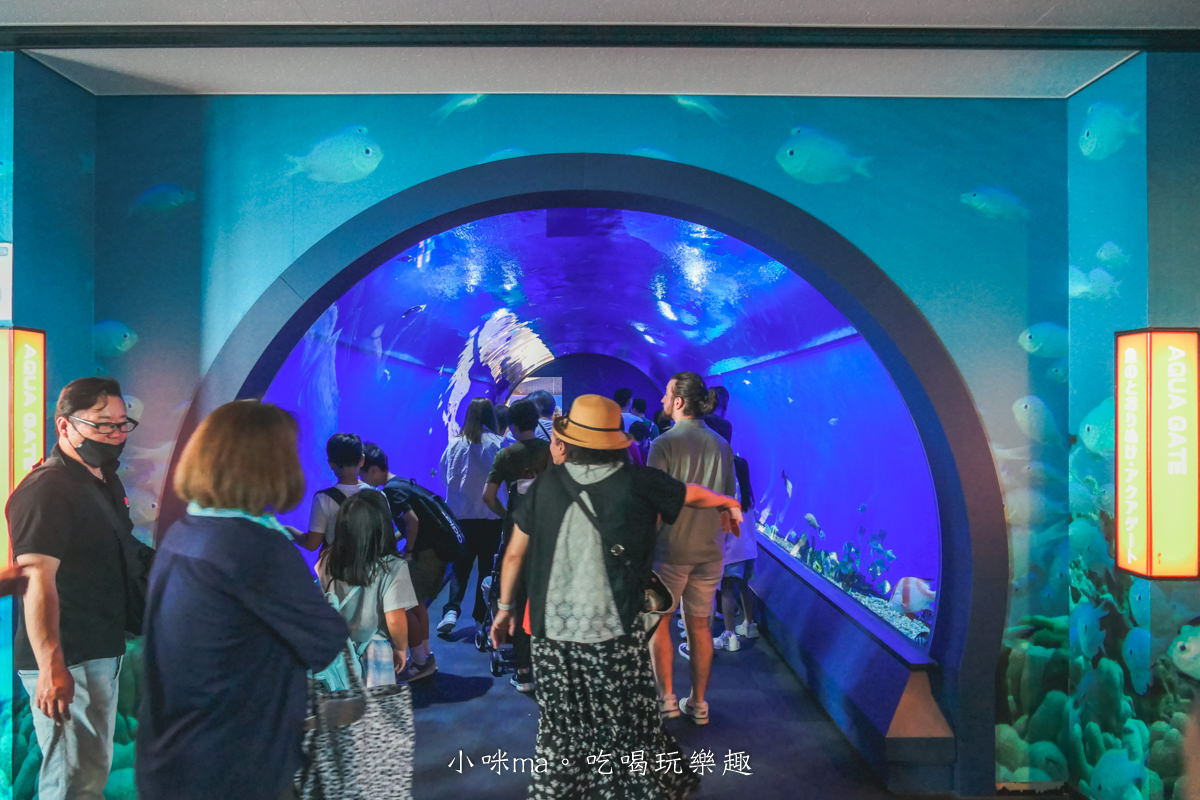 【大阪景點】海遊館|360度近距離觀賞超萌海豹、鯨鯊、企鵝,門票優惠&交通總整理,天保山一日遊 - 第12張圖 【大阪景點】海遊館|360度近距離觀賞超萌海豹、鯨鯊、企鵝,門票優惠&交通總整理,天保山一日遊