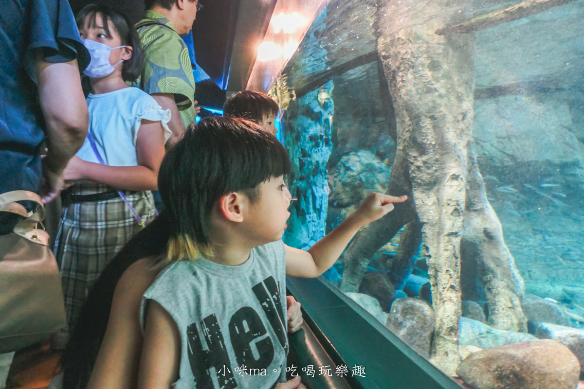 【大阪景點】海遊館|360度近距離觀賞超萌海豹、鯨鯊、企鵝,門票優惠&交通總整理,天保山一日遊 - 第19張圖 【大阪景點】海遊館|360度近距離觀賞超萌海豹、鯨鯊、企鵝,門票優惠&交通總整理,天保山一日遊