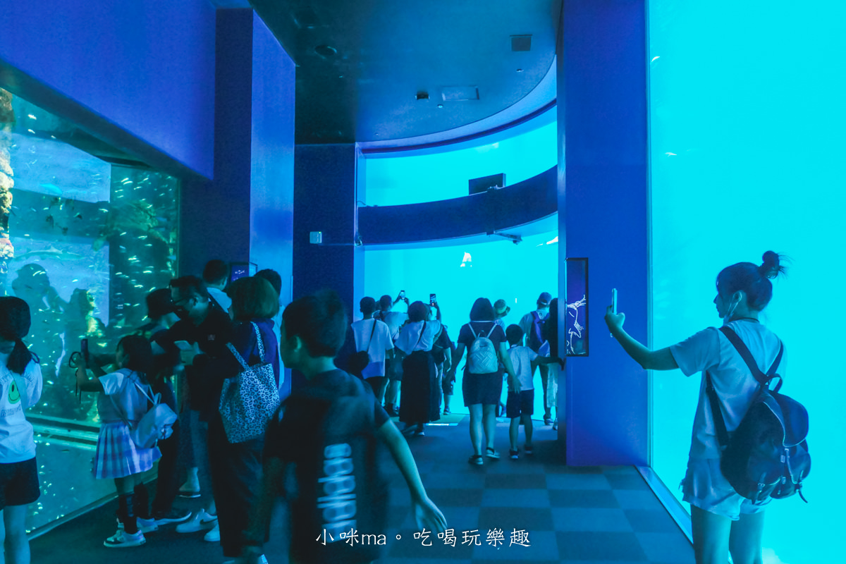 【大阪景點】海遊館|360度近距離觀賞超萌海豹、鯨鯊、企鵝,門票優惠&交通總整理,天保山一日遊 - 第31張圖 【大阪景點】海遊館|360度近距離觀賞超萌海豹、鯨鯊、企鵝,門票優惠&交通總整理,天保山一日遊