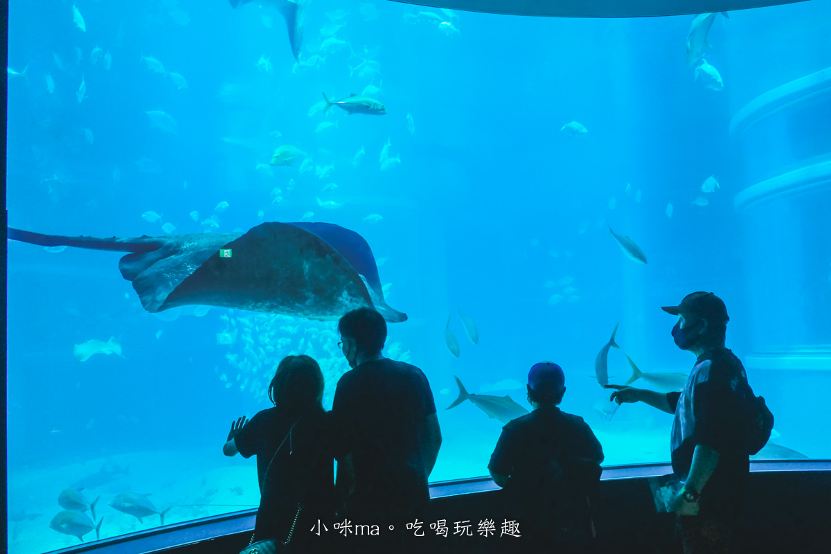 【大阪景點】海遊館|360度近距離觀賞超萌海豹、鯨鯊、企鵝,門票優惠&交通總整理,天保山一日遊 - 第32張圖 【大阪景點】海遊館|360度近距離觀賞超萌海豹、鯨鯊、企鵝,門票優惠&交通總整理,天保山一日遊