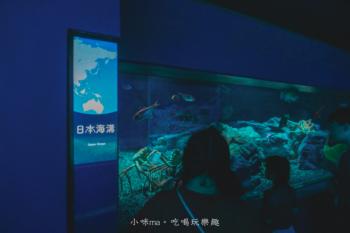 【大阪景點】海遊館|360度近距離觀賞超萌海豹、鯨鯊、企鵝,門票優惠&交通總整理,天保山一日遊 - 第37張圖 【大阪景點】海遊館|360度近距離觀賞超萌海豹、鯨鯊、企鵝,門票優惠&交通總整理,天保山一日遊