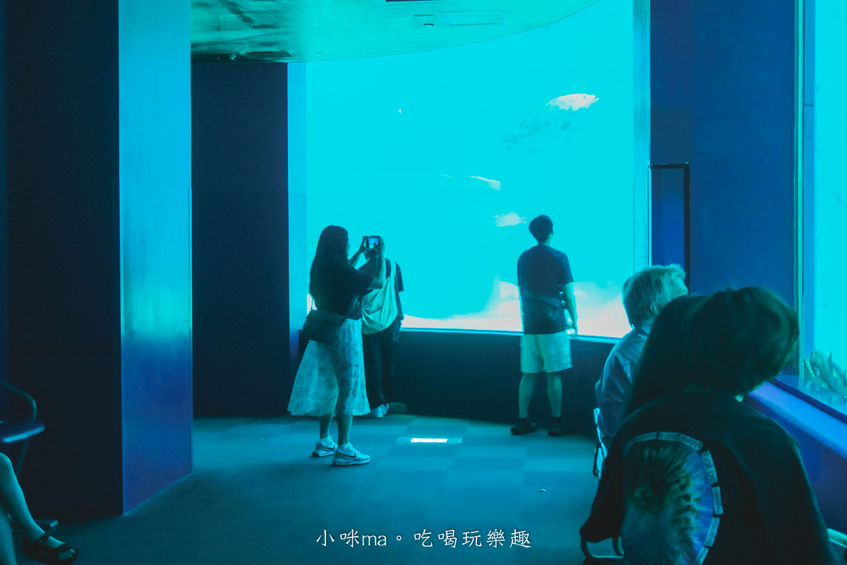 【大阪景點】海遊館|360度近距離觀賞超萌海豹、鯨鯊、企鵝,門票優惠&交通總整理,天保山一日遊 - 第39張圖 【大阪景點】海遊館|360度近距離觀賞超萌海豹、鯨鯊、企鵝,門票優惠&交通總整理,天保山一日遊