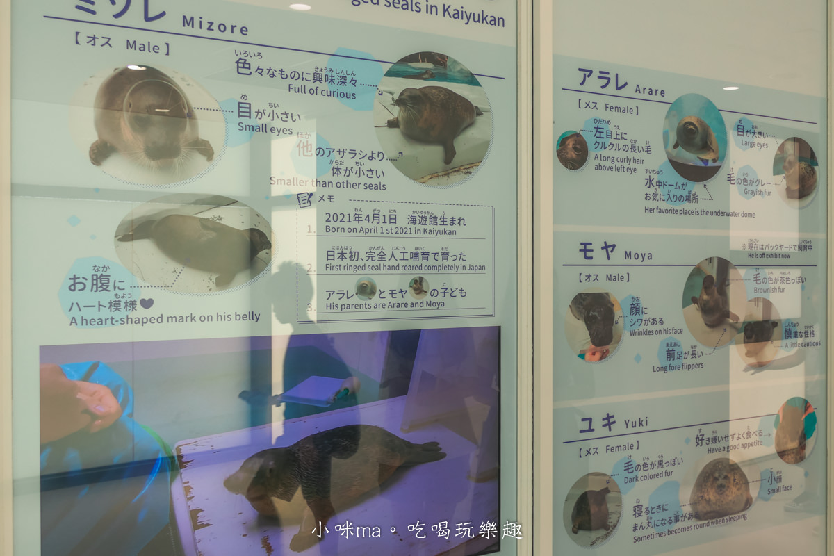 【大阪景點】海遊館|360度近距離觀賞超萌海豹、鯨鯊、企鵝,門票優惠&交通總整理,天保山一日遊 - 第50張圖 【大阪景點】海遊館|360度近距離觀賞超萌海豹、鯨鯊、企鵝,門票優惠&交通總整理,天保山一日遊