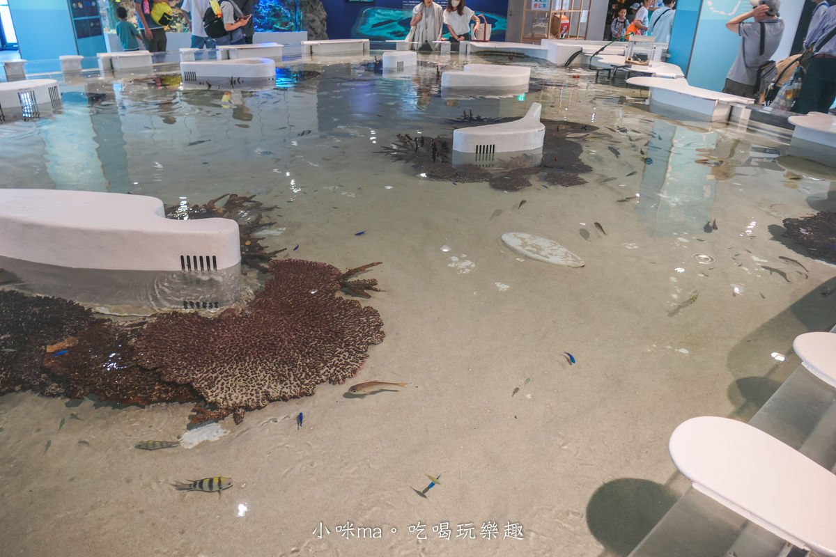 【大阪景點】海遊館|360度近距離觀賞超萌海豹、鯨鯊、企鵝,門票優惠&交通總整理,天保山一日遊 - 第53張圖 【大阪景點】海遊館|360度近距離觀賞超萌海豹、鯨鯊、企鵝,門票優惠&交通總整理,天保山一日遊