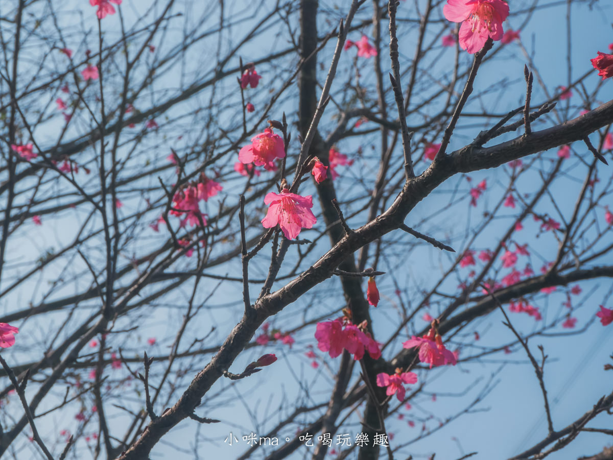 【桃園龍潭景點】三坑自然生態公園｜無料小溪戲水，悠閒環湖步道，還能順遊三坑老街、太平紅橋，桃園一日遊