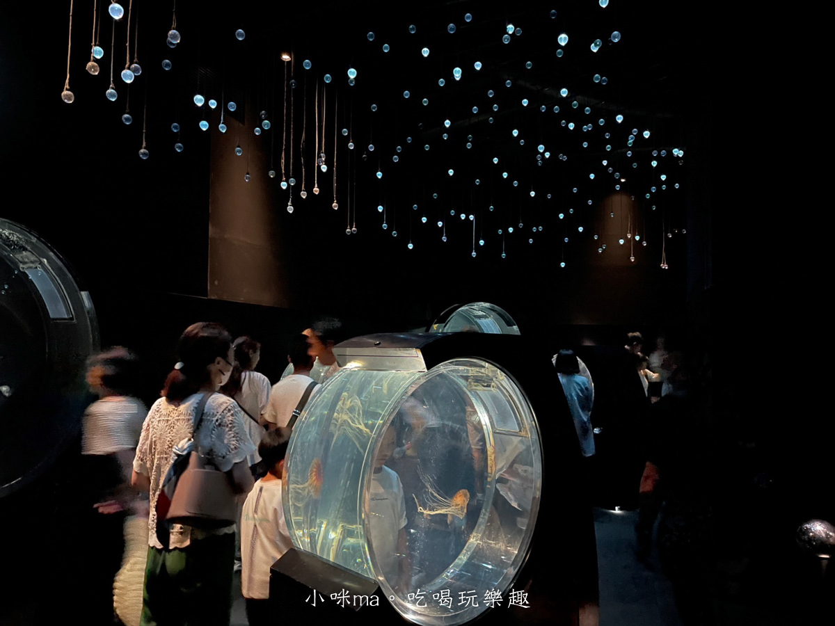【大阪景點】海遊館|360度近距離觀賞超萌海豹、鯨鯊、企鵝,門票優惠&交通總整理,天保山一日遊 - 第41張圖 【大阪景點】海遊館|360度近距離觀賞超萌海豹、鯨鯊、企鵝,門票優惠&交通總整理,天保山一日遊