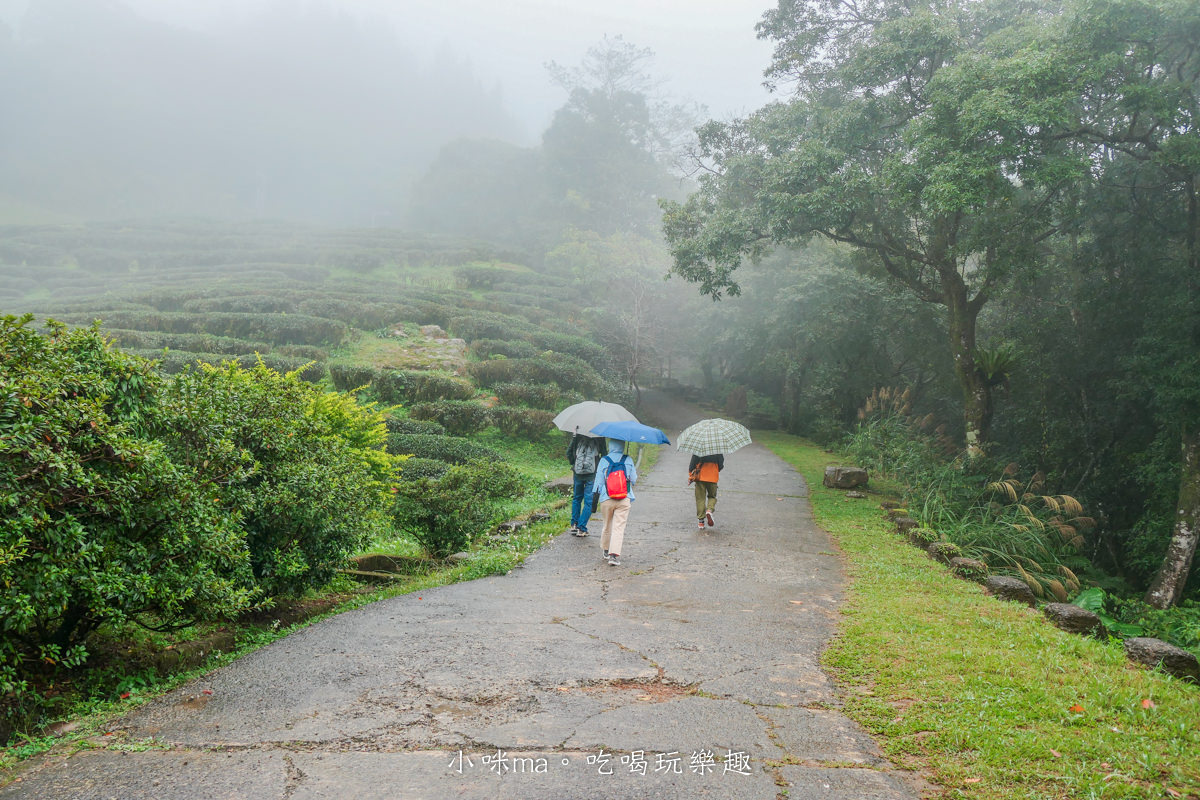【新北三峽景點】禾煦熊空茶園(原熊空茶園)|藏在森林裡的玻璃屋咖啡廳美炸,櫻花、楓葉、茶園一次get,內有詳細交通、門票資訊 - 第16張圖 【新北三峽景點】禾煦熊空茶園(原熊空茶園)|藏在森林裡的玻璃屋咖啡廳美炸,櫻花、楓葉、茶園一次get,內有詳細交通、門票資訊