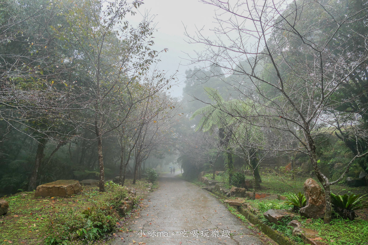 【新北三峽景點】禾煦熊空茶園(原熊空茶園)|藏在森林裡的玻璃屋咖啡廳美炸,櫻花、楓葉、茶園一次get,內有詳細交通、門票資訊 - 第20張圖 【新北三峽景點】禾煦熊空茶園(原熊空茶園)|藏在森林裡的玻璃屋咖啡廳美炸,櫻花、楓葉、茶園一次get,內有詳細交通、門票資訊