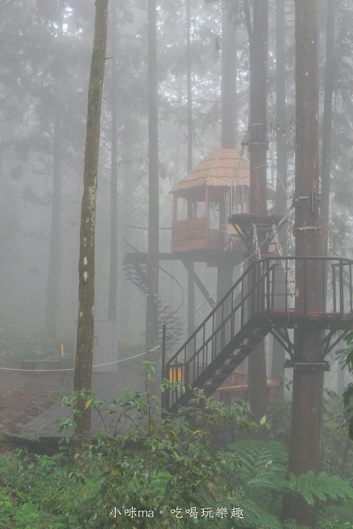 【新北三峽景點】禾煦熊空茶園(原熊空茶園)|藏在森林裡的玻璃屋咖啡廳美炸,櫻花、楓葉、茶園一次get,內有詳細交通、門票資訊 - 第29張圖 【新北三峽景點】禾煦熊空茶園(原熊空茶園)|藏在森林裡的玻璃屋咖啡廳美炸,櫻花、楓葉、茶園一次get,內有詳細交通、門票資訊