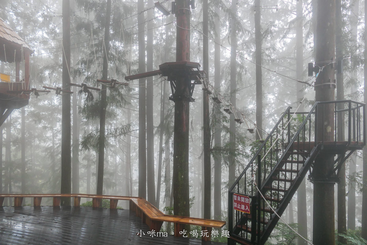 【新北三峽景點】禾煦熊空茶園(原熊空茶園)|藏在森林裡的玻璃屋咖啡廳美炸,櫻花、楓葉、茶園一次get,內有詳細交通、門票資訊 - 第28張圖 【新北三峽景點】禾煦熊空茶園(原熊空茶園)|藏在森林裡的玻璃屋咖啡廳美炸,櫻花、楓葉、茶園一次get,內有詳細交通、門票資訊