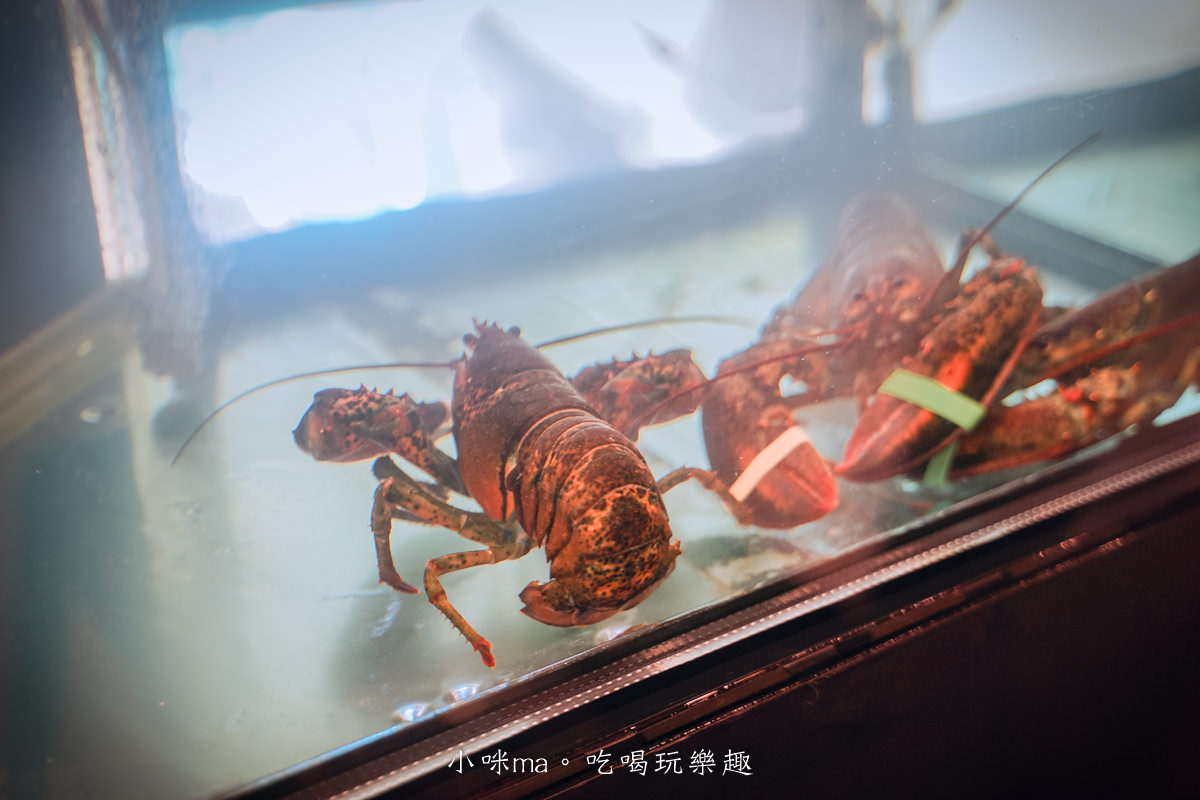 【台北火鍋】安禧鍋物 anxihotpot|市民大道火鍋必推這間!除了蔬食吃到飽外,還有獨立包廂,新開幕~免費卜卜鍋吃起來,台北火鍋吃到飽 - 第6張圖 【台北火鍋】安禧鍋物 anxihotpot|市民大道火鍋必推這間!除了蔬食吃到飽外,還有獨立包廂,新開幕~免費卜卜鍋吃起來,台北火鍋吃到飽