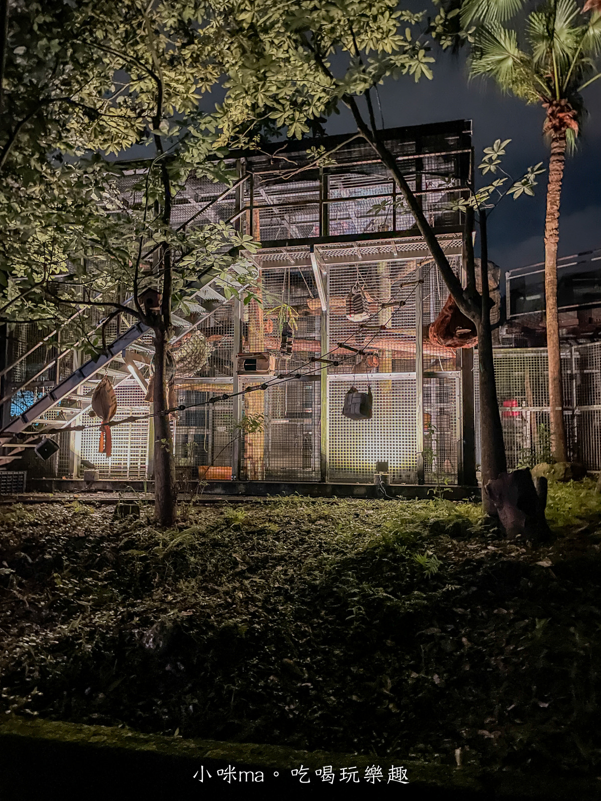 【親子旅遊】台北市立動物園~夜Fun動物園開跑|專屬夜間探險列車帶你前進生態秘境,近距離接觸蛙類、獨角仙、吼猴休息室,萬芳商圈美食打卡拿優惠 - 第30張圖 【親子旅遊】台北市立動物園~夜Fun動物園開跑|專屬夜間探險列車帶你前進生態秘境,近距離接觸蛙類、獨角仙、吼猴休息室,萬芳商圈美食打卡拿優惠