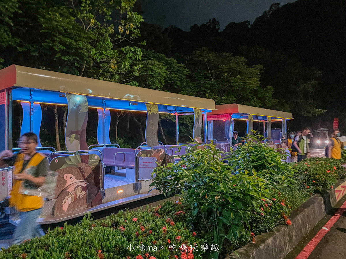 【親子旅遊】台北市立動物園~夜Fun動物園開跑|專屬夜間探險列車帶你前進生態秘境,近距離接觸蛙類、獨角仙、吼猴休息室,萬芳商圈美食打卡拿優惠 - 第33張圖 【親子旅遊】台北市立動物園~夜Fun動物園開跑|專屬夜間探險列車帶你前進生態秘境,近距離接觸蛙類、獨角仙、吼猴休息室,萬芳商圈美食打卡拿優惠