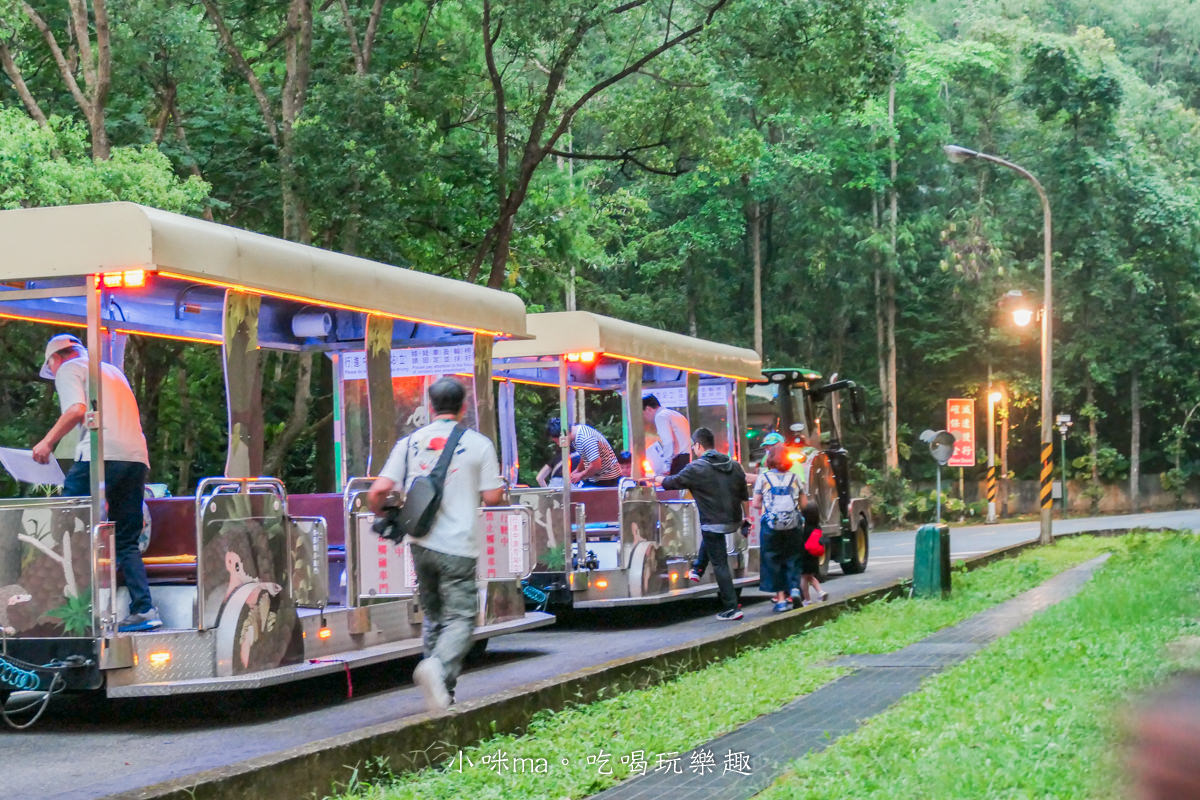 【親子旅遊】台北市立動物園~夜Fun動物園開跑|專屬夜間探險列車帶你前進生態秘境,近距離接觸蛙類、獨角仙、吼猴休息室,萬芳商圈美食打卡拿優惠 - 第12張圖 【親子旅遊】台北市立動物園~夜Fun動物園開跑|專屬夜間探險列車帶你前進生態秘境,近距離接觸蛙類、獨角仙、吼猴休息室,萬芳商圈美食打卡拿優惠