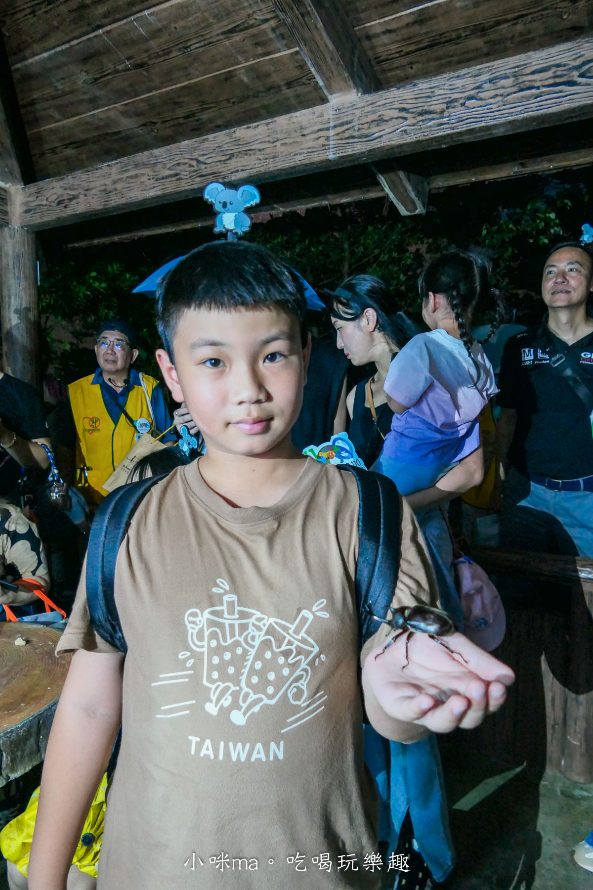 【親子旅遊】台北市立動物園~夜Fun動物園開跑|專屬夜間探險列車帶你前進生態秘境,近距離接觸蛙類、獨角仙、吼猴休息室,萬芳商圈美食打卡拿優惠 - 第25張圖 【親子旅遊】台北市立動物園~夜Fun動物園開跑|專屬夜間探險列車帶你前進生態秘境,近距離接觸蛙類、獨角仙、吼猴休息室,萬芳商圈美食打卡拿優惠