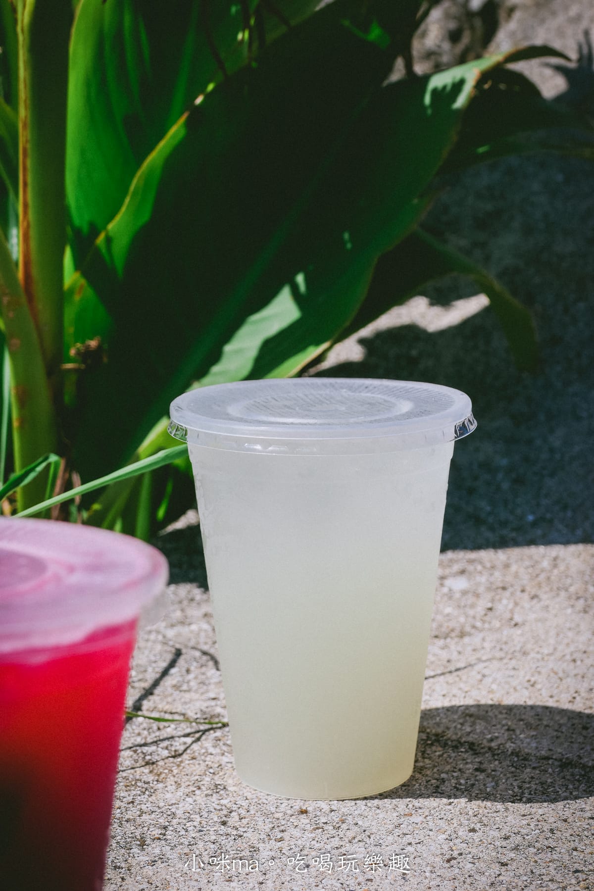 【澎湖美食】二崁一號 陳家仙人掌果汁|澎湖必喝飲品,仙人掌冰沙消暑解渴,二崁聚落美食 - 第13張圖 【澎湖美食】二崁一號 陳家仙人掌果汁|澎湖必喝飲品,仙人掌冰沙消暑解渴,二崁聚落美食