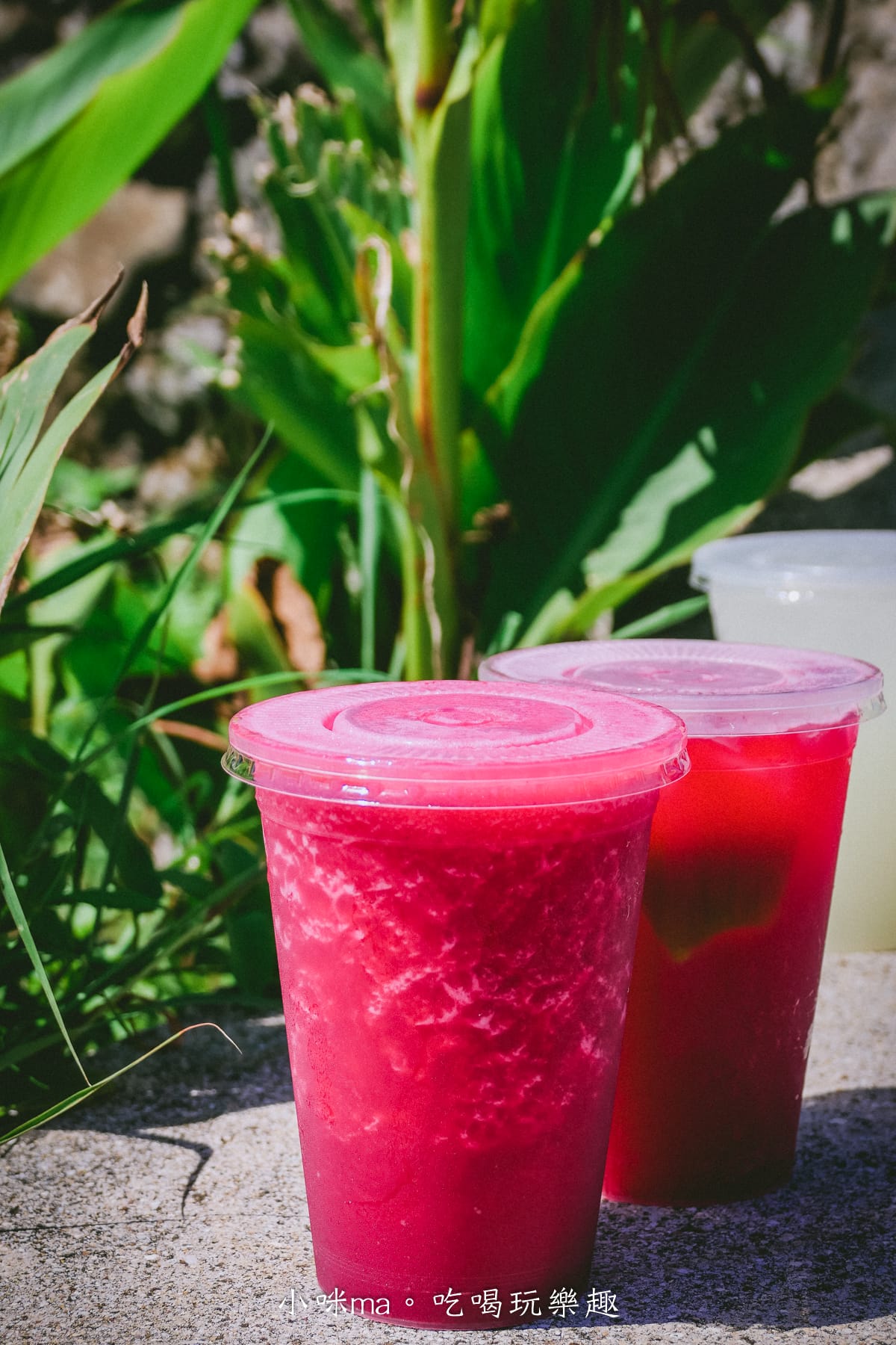 【澎湖美食】二崁一號 陳家仙人掌果汁|澎湖必喝飲品,仙人掌冰沙消暑解渴,二崁聚落美食 - 第11張圖 【澎湖美食】二崁一號 陳家仙人掌果汁|澎湖必喝飲品,仙人掌冰沙消暑解渴,二崁聚落美食