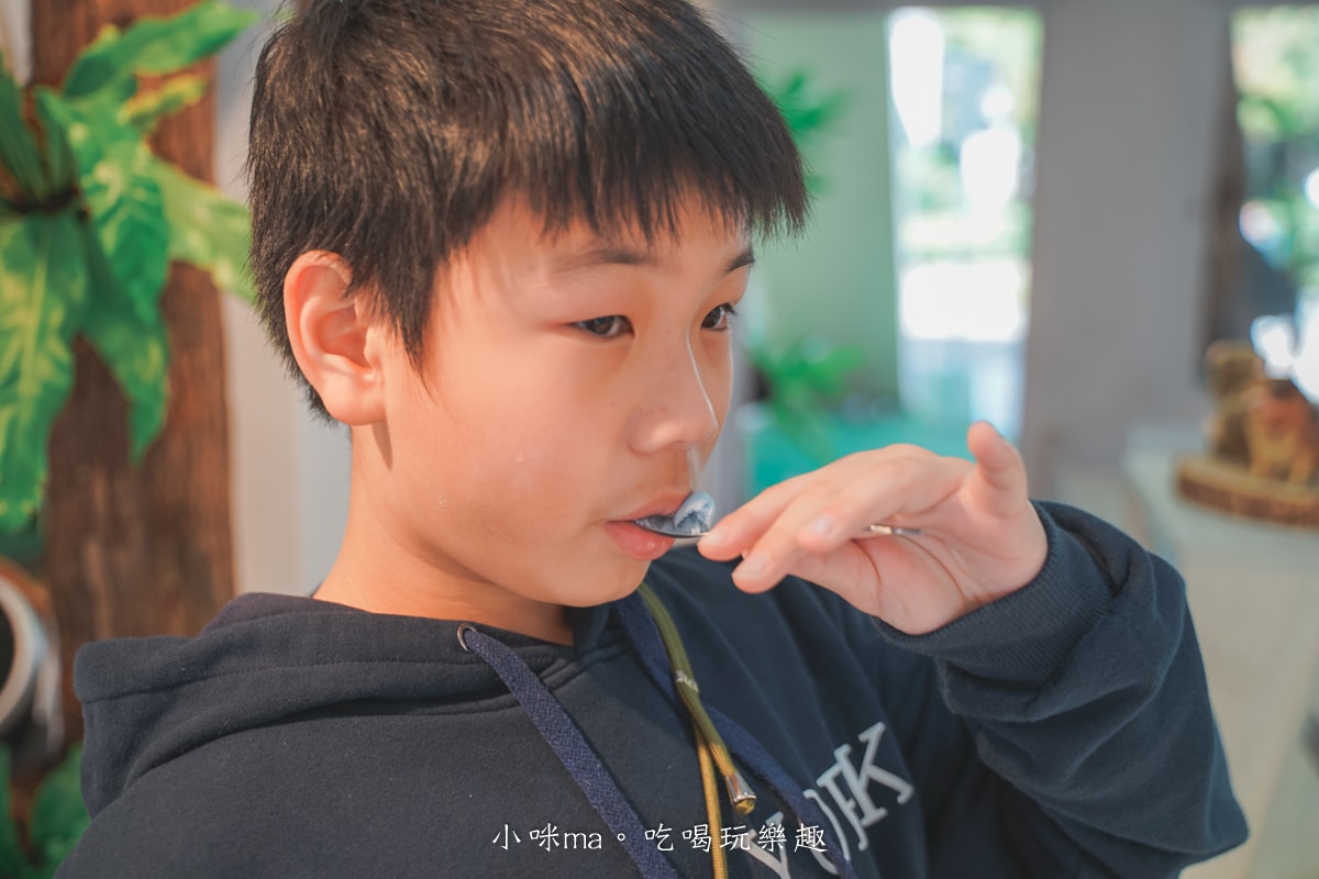 【審計新村美食】山豬跳舞-審計店｜台灣水果、原民食材製成義式冰淇淋，超過10種免費試吃挑口味，台中美食