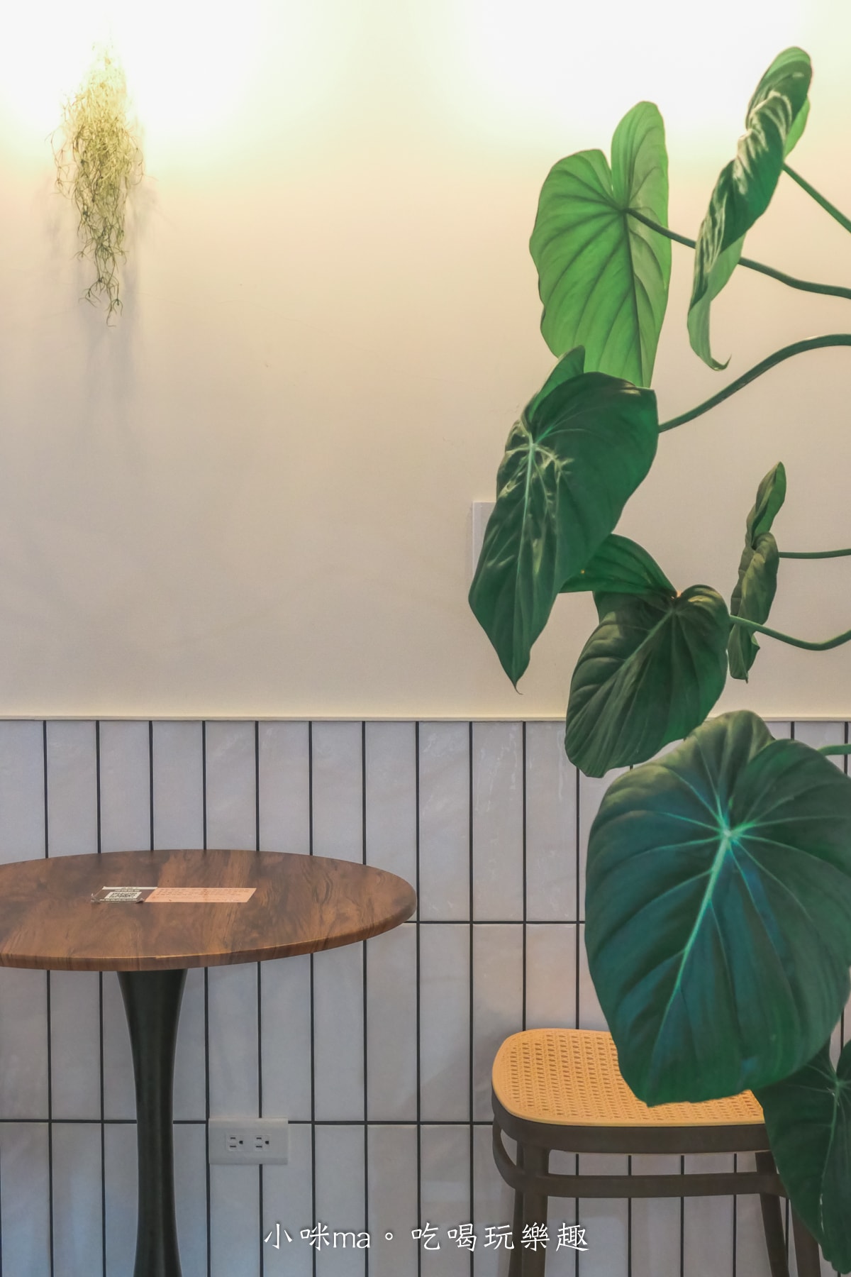 【內湖早午餐】哈妮早樂子｜內湖植物系早午餐咖啡廳，餐點樣式超多，還是寵物友善餐廳，內湖美食