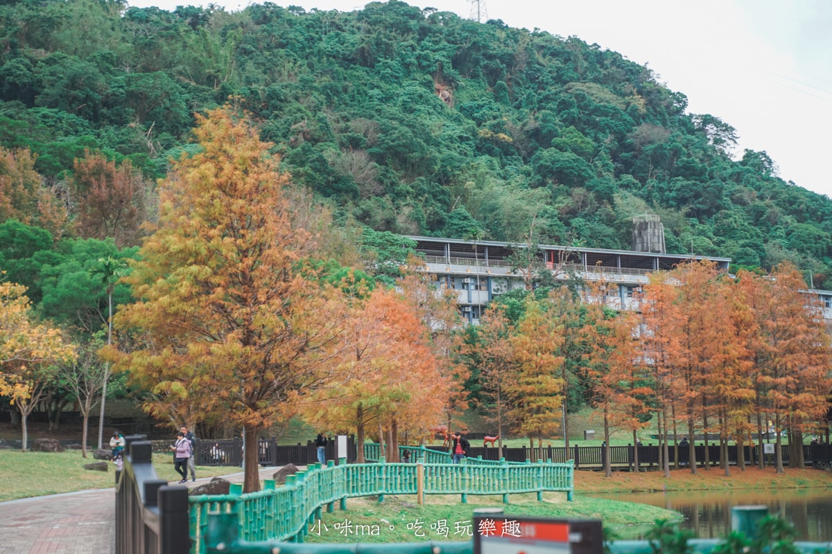 【台北落羽松】原住民文化主題公園|夢幻湖景落羽松林搭公車就能到!免門票任你拍到爆,台北士林景點 - 第6張圖 【台北落羽松】原住民文化主題公園|夢幻湖景落羽松林搭公車就能到!免門票任你拍到爆,台北士林景點