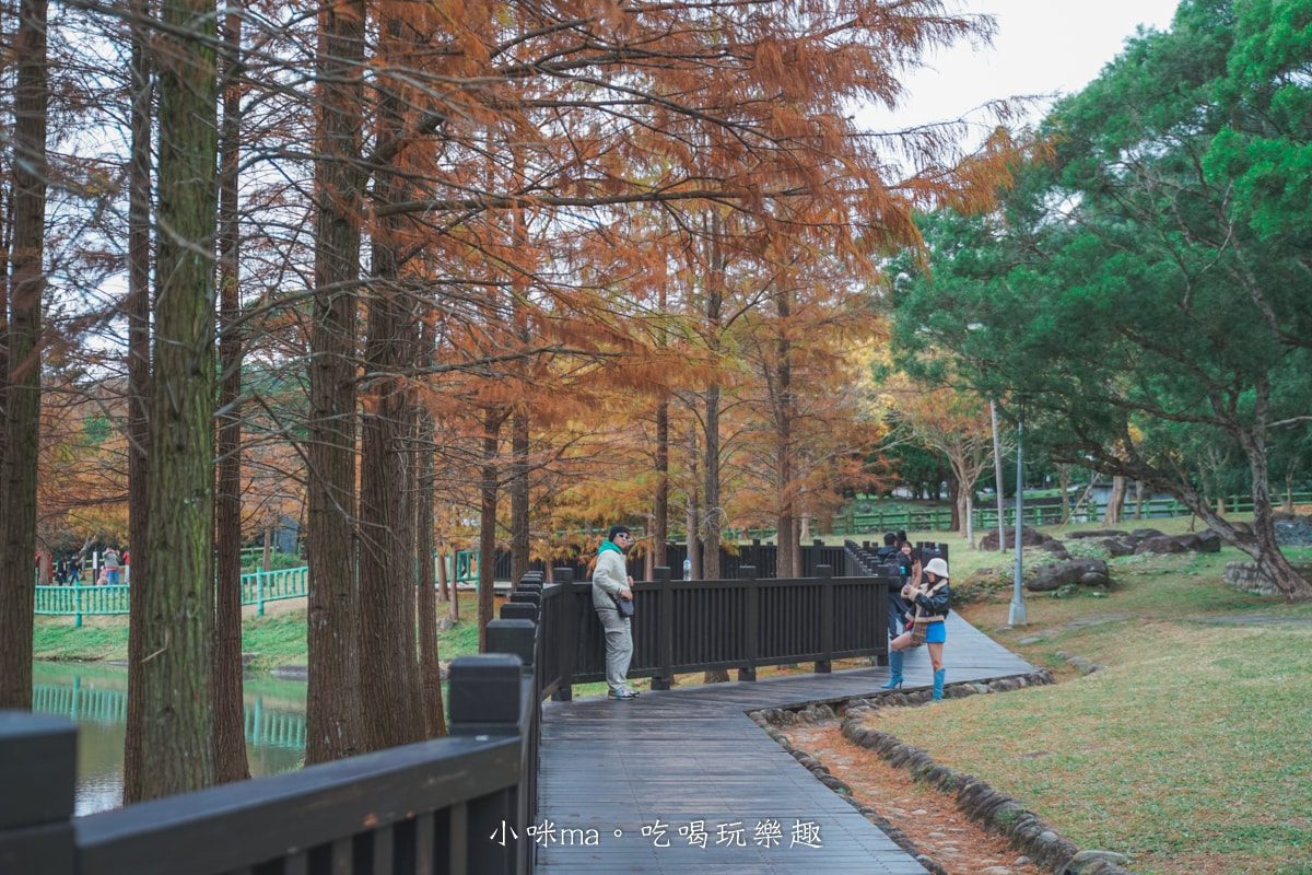 【台北落羽松】原住民文化主題公園|夢幻湖景落羽松林搭公車就能到!免門票任你拍到爆,台北士林景點 - 第11張圖 【台北落羽松】原住民文化主題公園|夢幻湖景落羽松林搭公車就能到!免門票任你拍到爆,台北士林景點