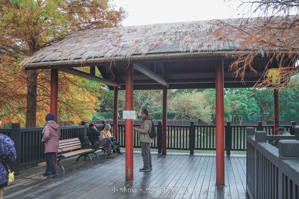 【台北落羽松】原住民文化主題公園|夢幻湖景落羽松林搭公車就能到!免門票任你拍到爆,台北士林景點 - 第12張圖 【台北落羽松】原住民文化主題公園|夢幻湖景落羽松林搭公車就能到!免門票任你拍到爆,台北士林景點