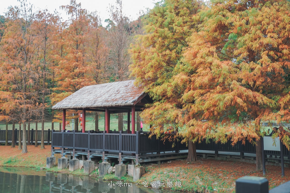 【台北落羽松】原住民文化主題公園|夢幻湖景落羽松林搭公車就能到!免門票任你拍到爆,台北士林景點 - 第13張圖 【台北落羽松】原住民文化主題公園|夢幻湖景落羽松林搭公車就能到!免門票任你拍到爆,台北士林景點
