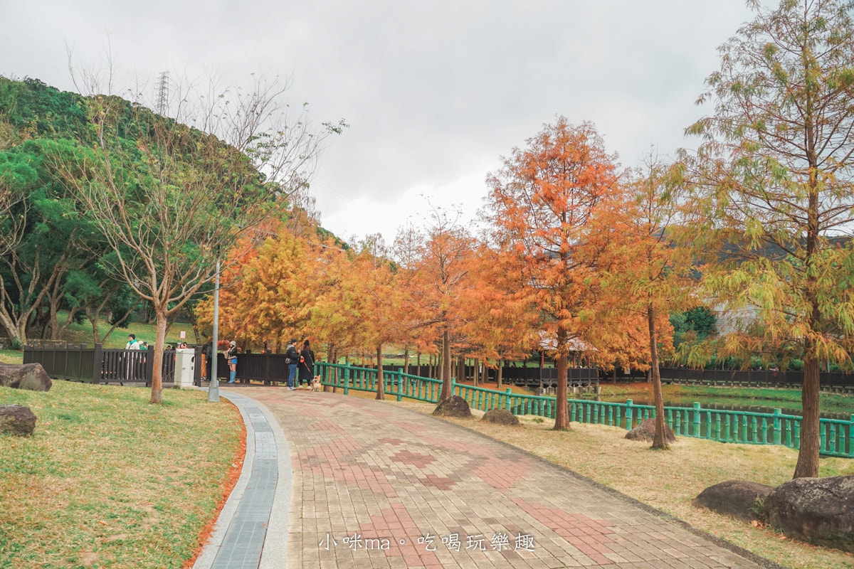【台北落羽松】原住民文化主題公園|夢幻湖景落羽松林搭公車就能到!免門票任你拍到爆,台北士林景點 - 第3張圖 【台北落羽松】原住民文化主題公園|夢幻湖景落羽松林搭公車就能到!免門票任你拍到爆,台北士林景點