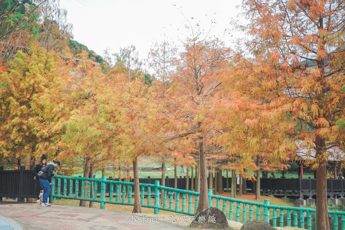 【台北落羽松】原住民文化主題公園|夢幻湖景落羽松林搭公車就能到!免門票任你拍到爆,台北士林景點 - 第7張圖 【台北落羽松】原住民文化主題公園|夢幻湖景落羽松林搭公車就能到!免門票任你拍到爆,台北士林景點