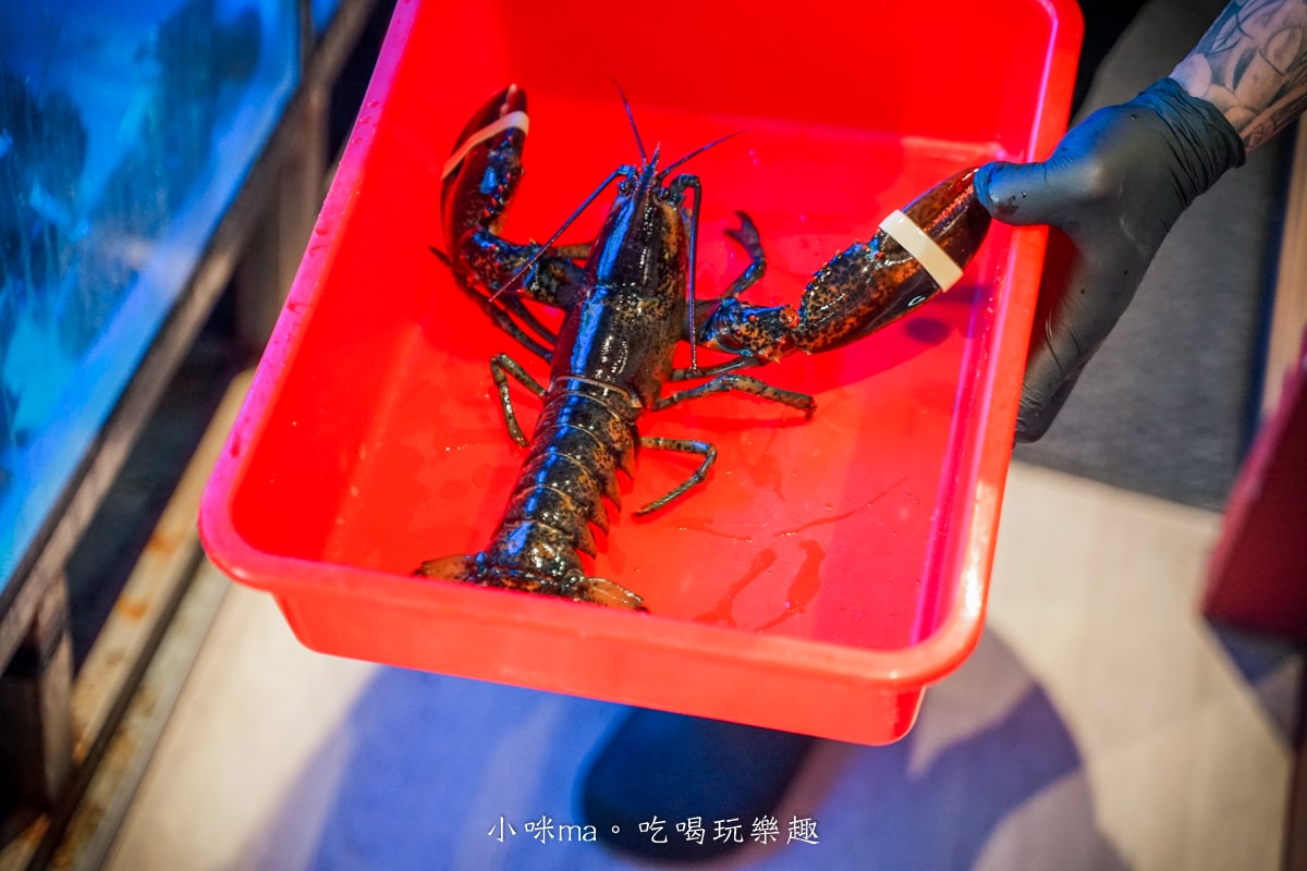 【板橋美食】深紅汕頭鍋物-板橋店｜屠龍四人套餐給你活跳跳2隻龍蝦+整船海鮮，管他的膽固醇爆表，想吃活體海鮮火鍋就選這間，板橋火鍋推薦