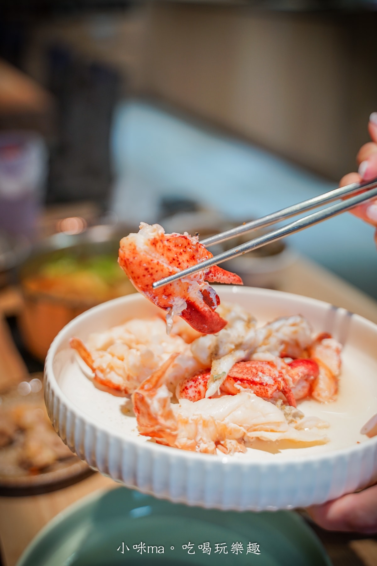 【板橋美食】深紅汕頭鍋物-板橋店｜屠龍四人套餐給你活跳跳2隻龍蝦+整船海鮮，管他的膽固醇爆表，想吃活體海鮮火鍋就選這間，板橋火鍋推薦