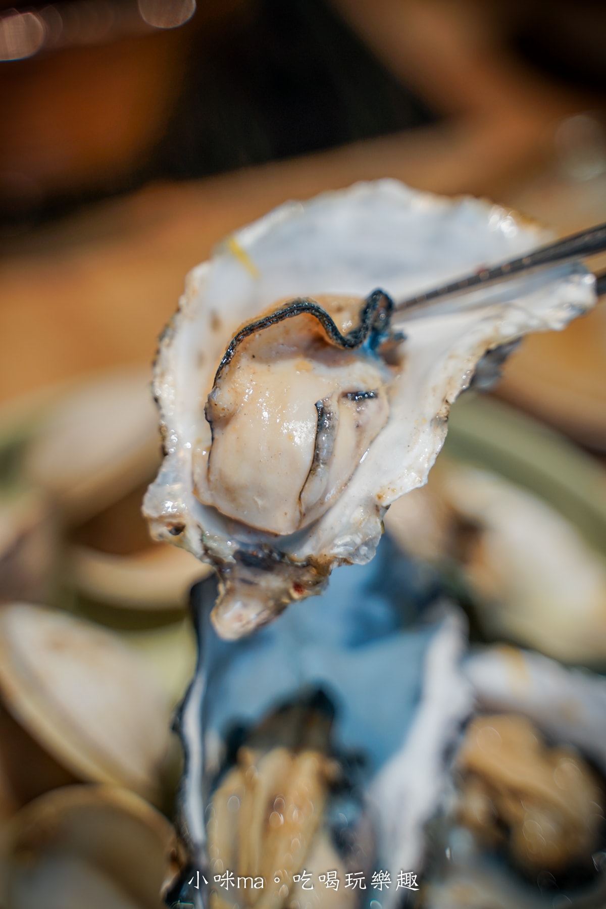 【板橋美食】深紅汕頭鍋物-板橋店｜屠龍四人套餐給你活跳跳2隻龍蝦+整船海鮮，管他的膽固醇爆表，想吃活體海鮮火鍋就選這間，板橋火鍋推薦
