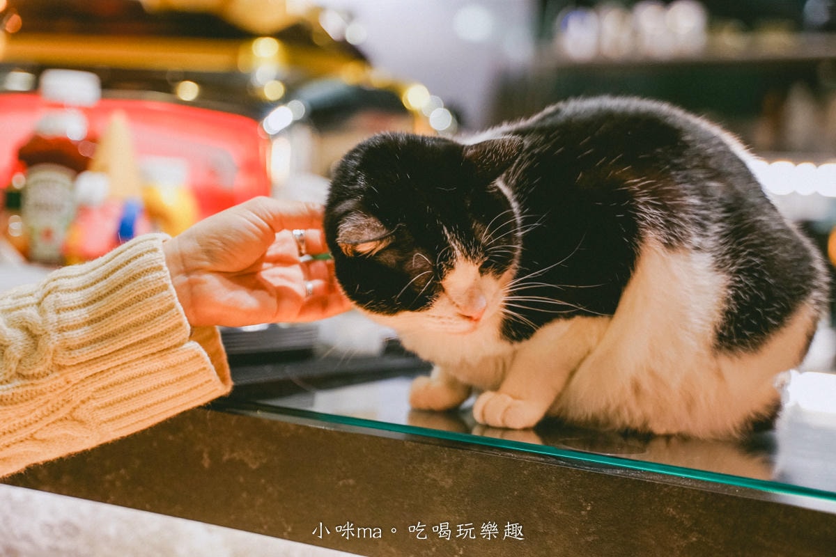 【基隆咖啡廳推薦】Yaong Caffe & Pasta|廟口附近韓系貓咪咖啡廳+巴斯克蛋糕必吃 - 第9張圖 【基隆咖啡廳推薦】Yaong Caffe & Pasta|廟口附近韓系貓咪咖啡廳+巴斯克蛋糕必吃
